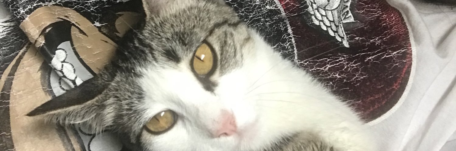 rorogore's profile banner image