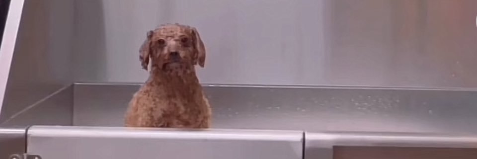 mvgzzy's profile banner image
