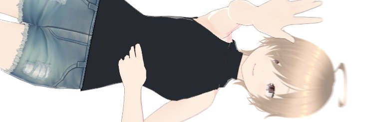 _Porgy's profile banner image