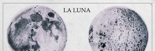 Giulia Napolitano banner