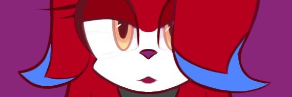 Karmen The Hedgehog (Exe) / Team hope (sometimes) banner