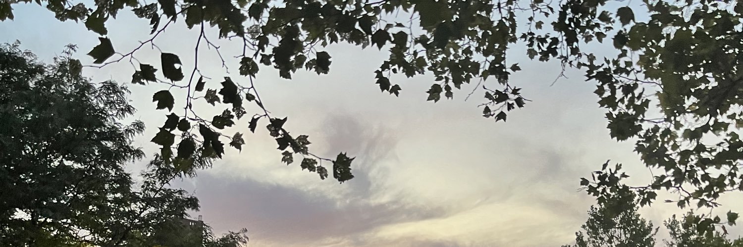 dreamstasx's profile banner image
