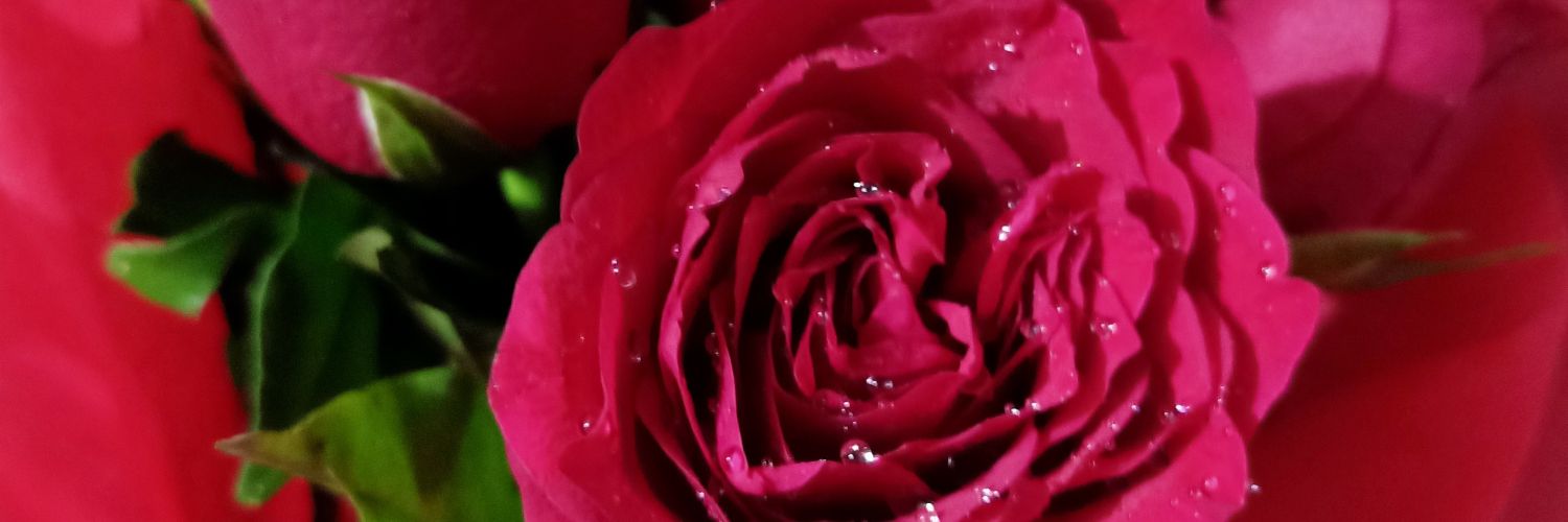 Shuhan_aa's profile banner image