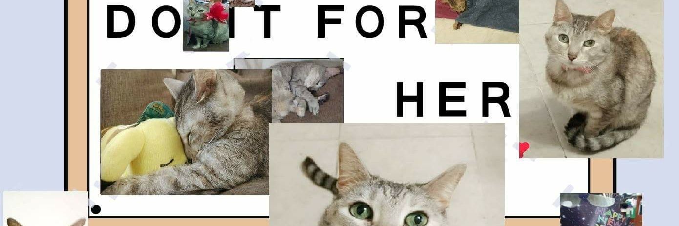 ImNoturi's profile banner image