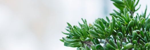 AstroGRL11's profile banner image