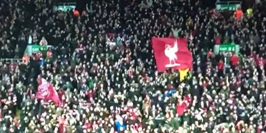 HughDeglan's profile banner image