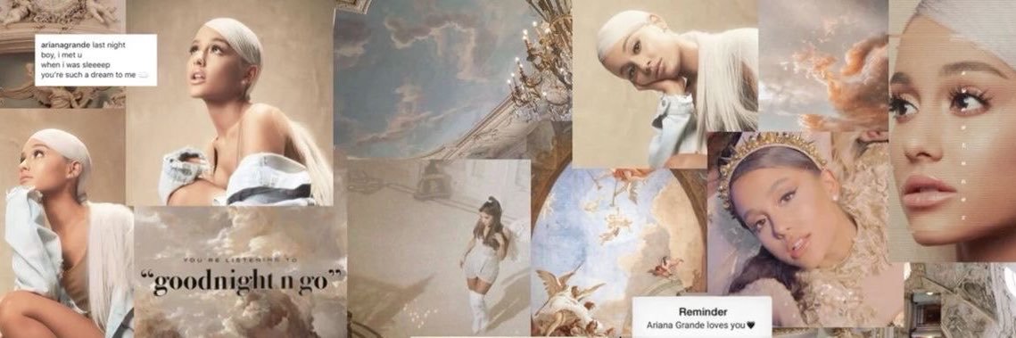 arianasalitza's profile banner image
