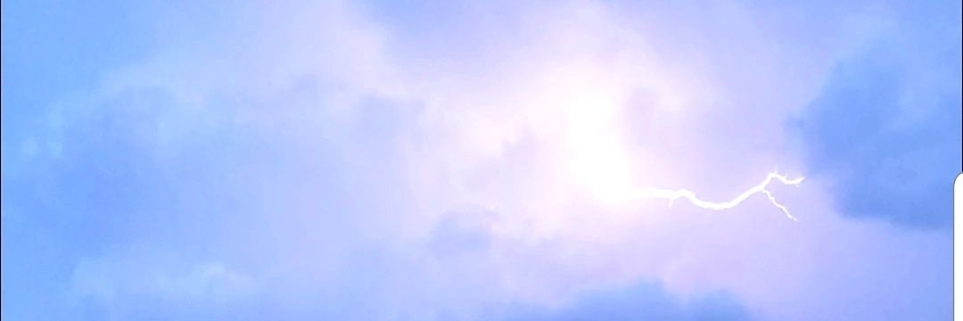 TinyTangoKitten's profile banner image