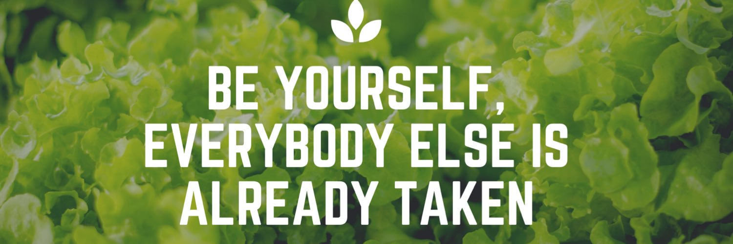 helnmo's profile banner image