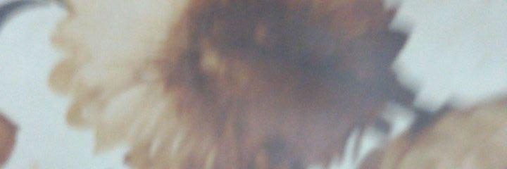 aaalshammary's profile banner image