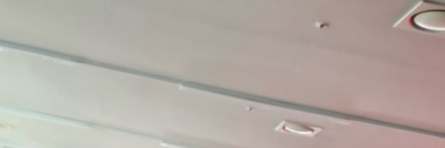 Sandi. banner