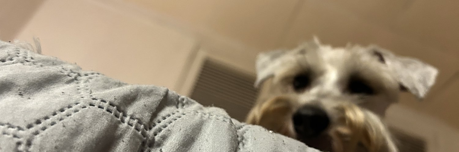 memi🪩 banner
