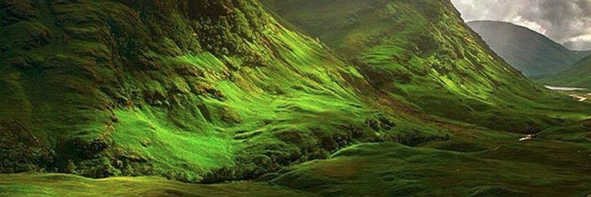 Thaar  AL_taiey banner