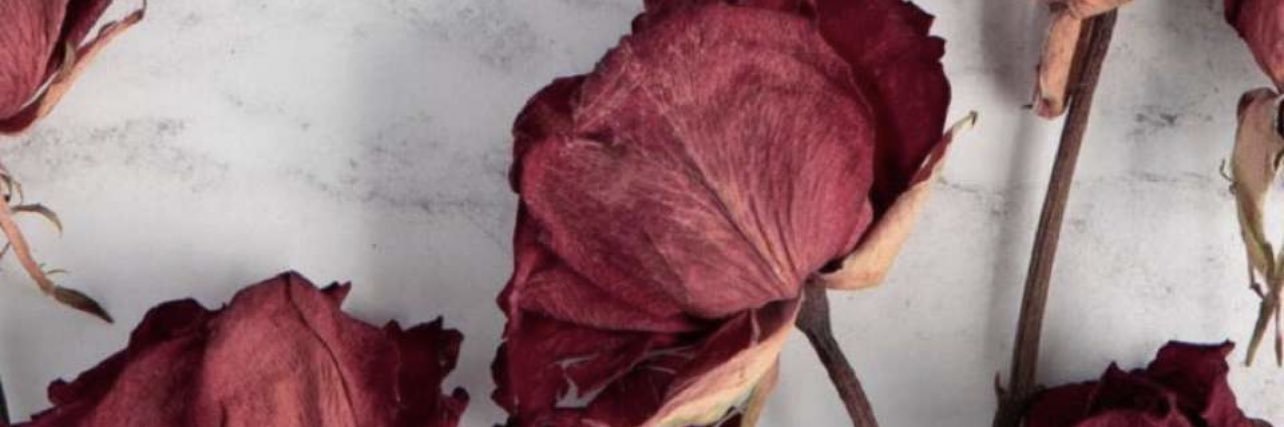 sooze1997's profile banner image
