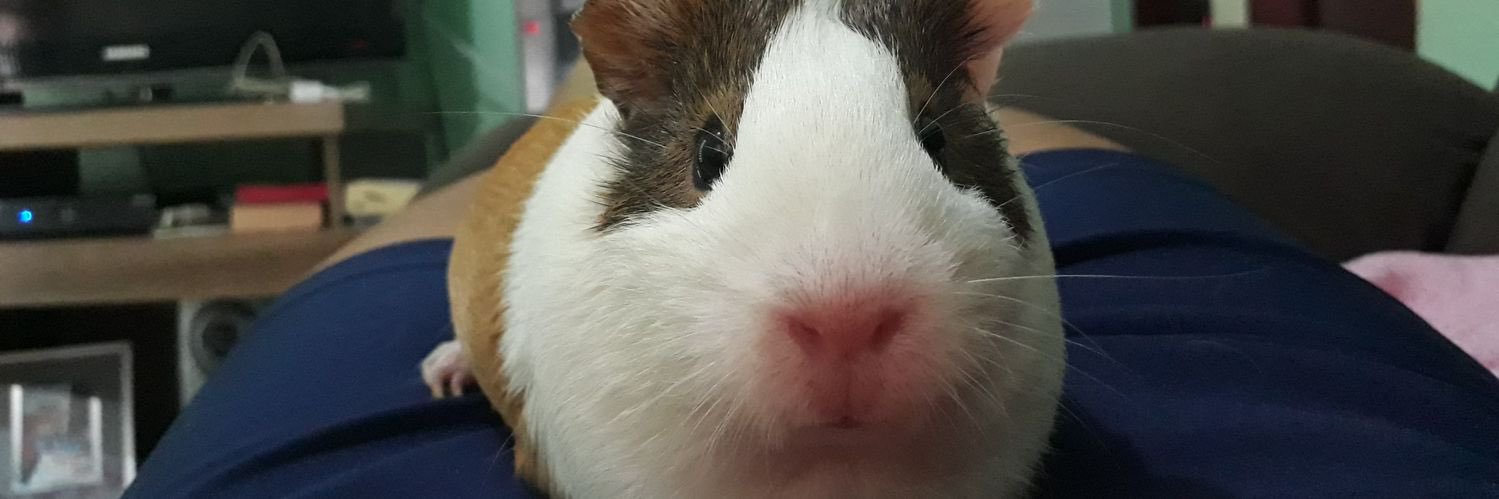 amandsat's profile banner image