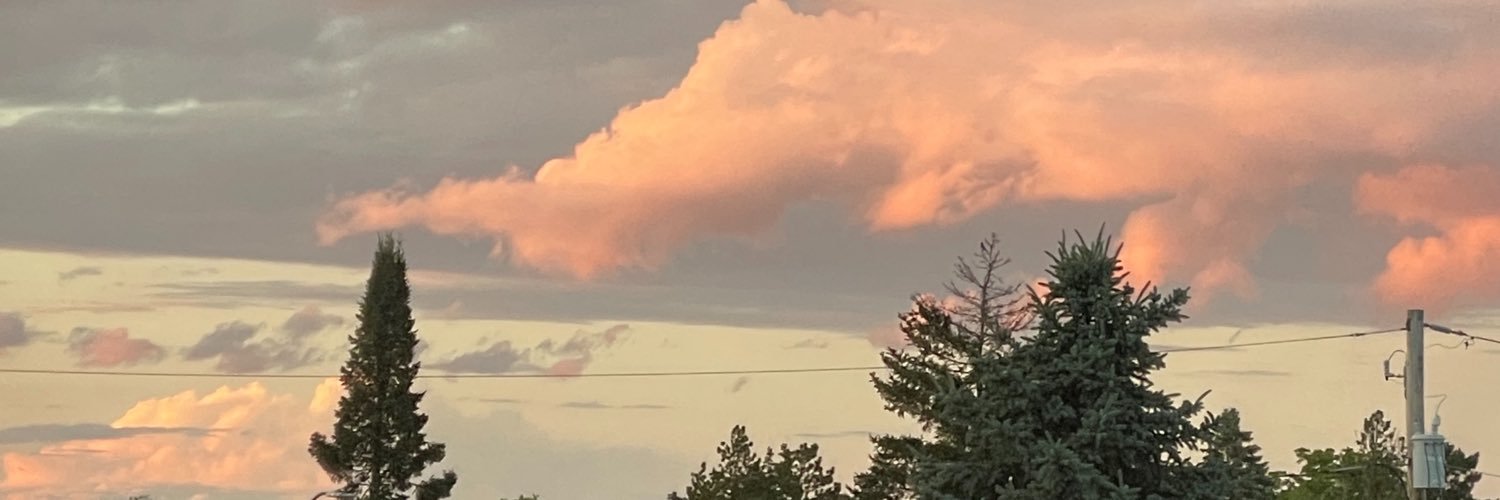 RandomPerson260's profile banner image