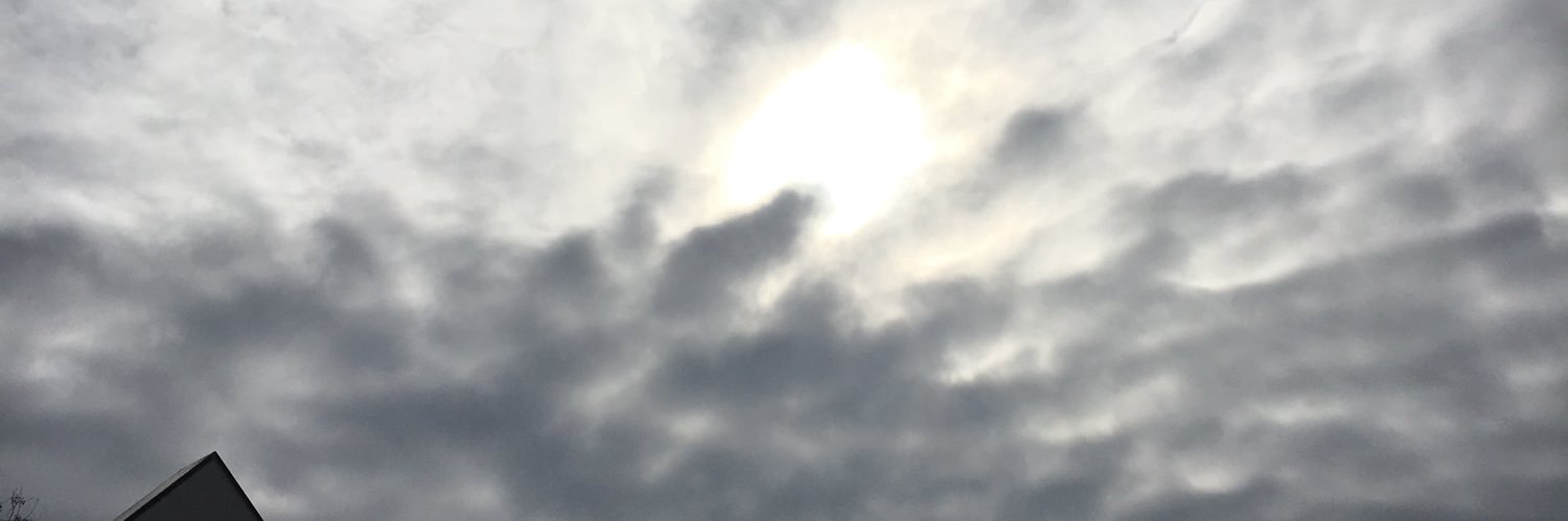 callmeturtl's profile banner image