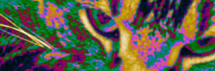 Spencer_C_Drake's profile banner image