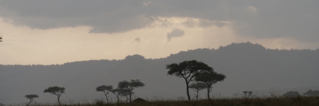 amedina7's profile banner image
