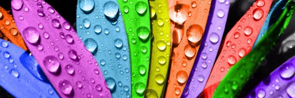 bakerbrenda2 Profile Banner