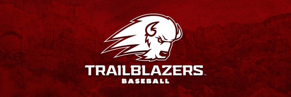 Utah Tech Baseball Profile Banner