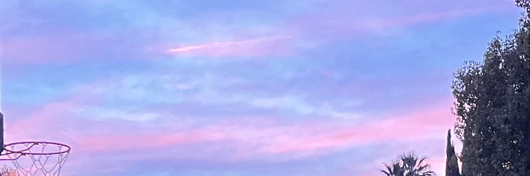 meselimt's profile banner image