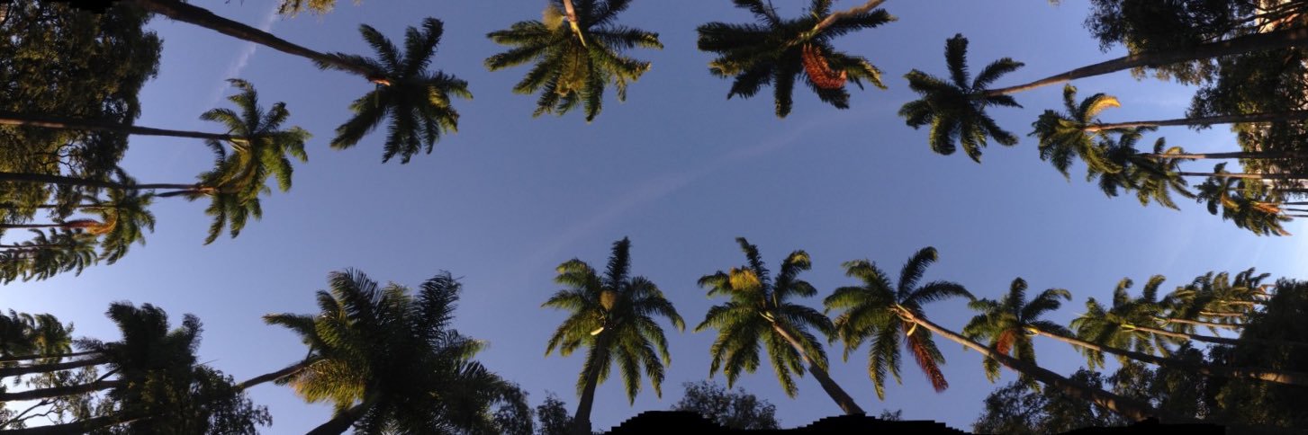 nicsteix's profile banner image
