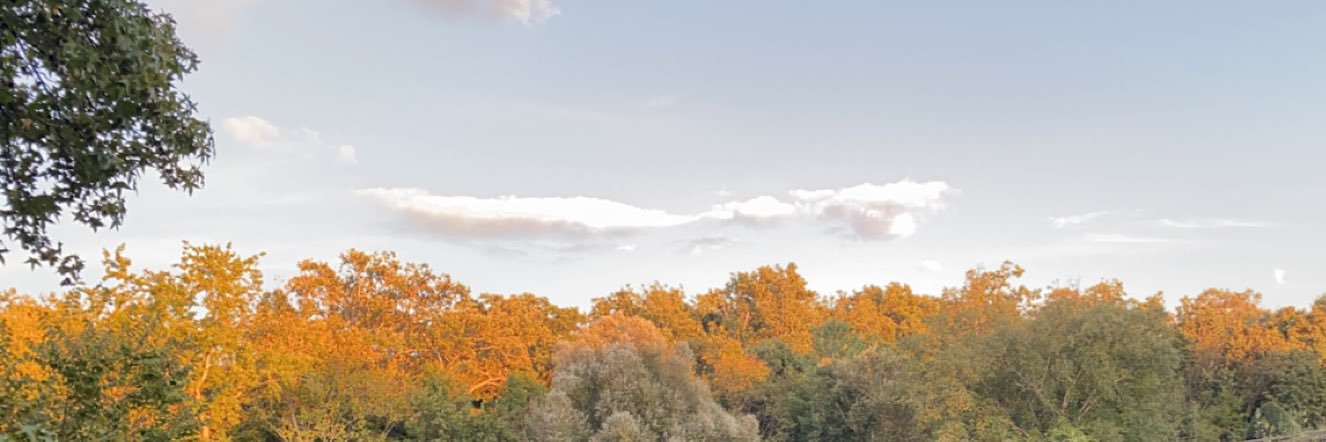 caatherrinne's profile banner image