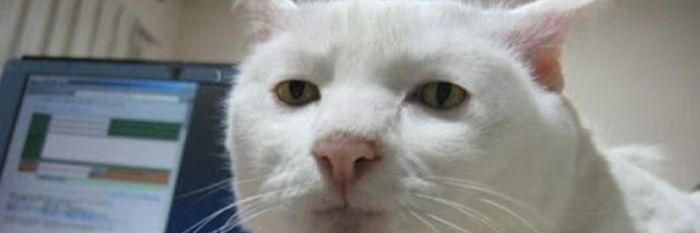 luft_13's profile banner image