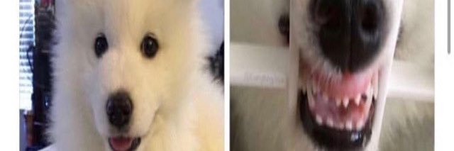PattyBatty203's profile banner image