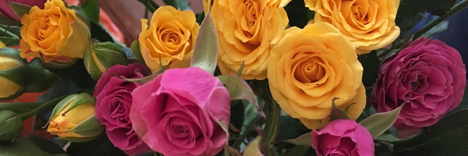 RoxPulce's profile banner image