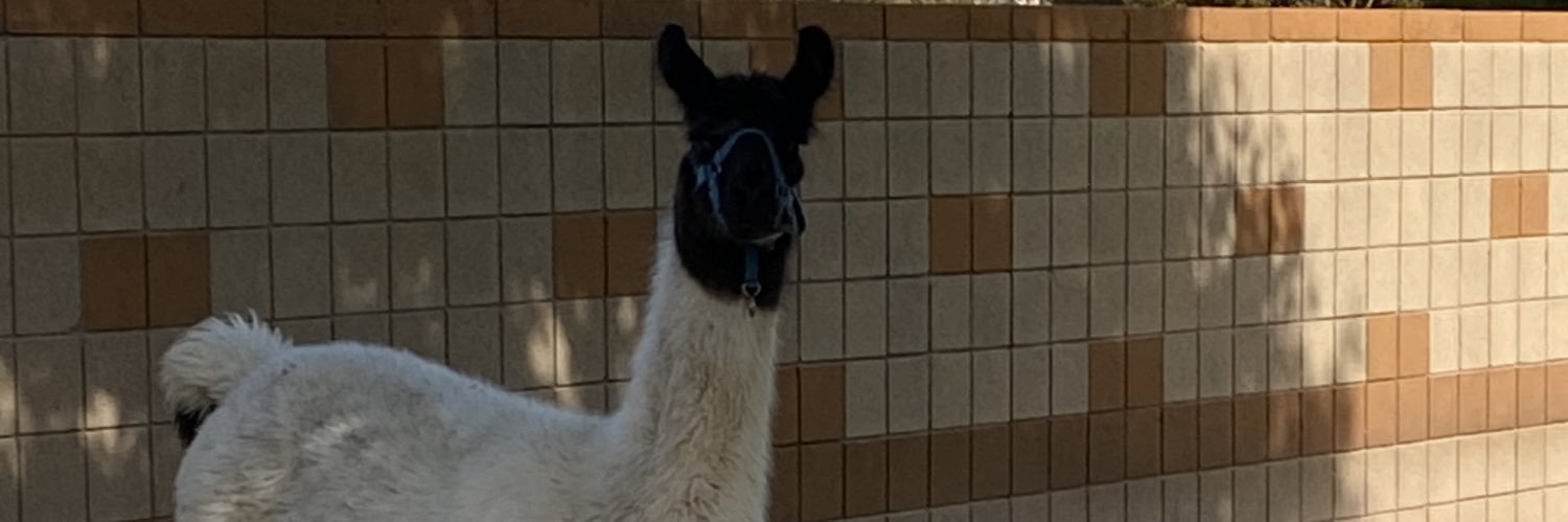 coolblueTerry's profile banner image