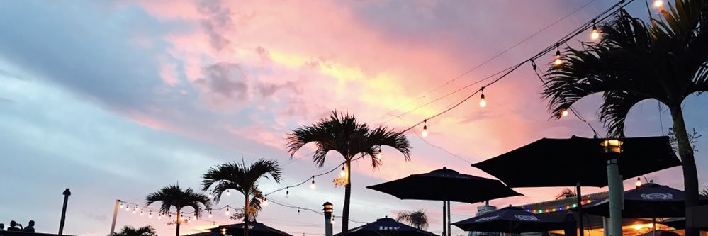 Erin Kenney banner
