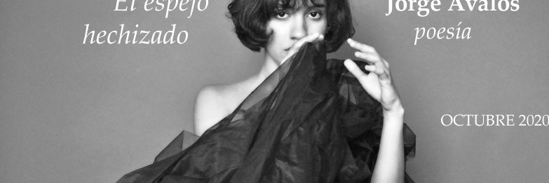 RevistaLaZebra's profile banner image