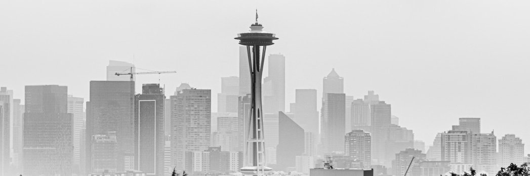 seawatts's profile banner image