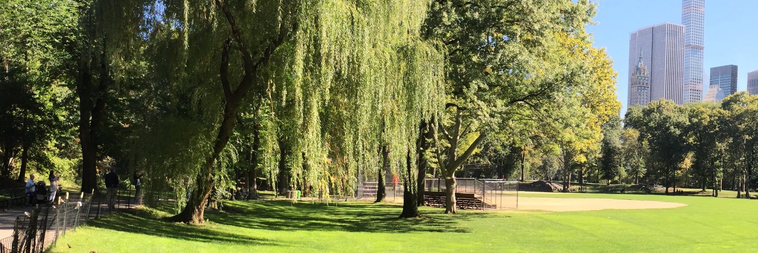 Em-Gee. (she/her) banner