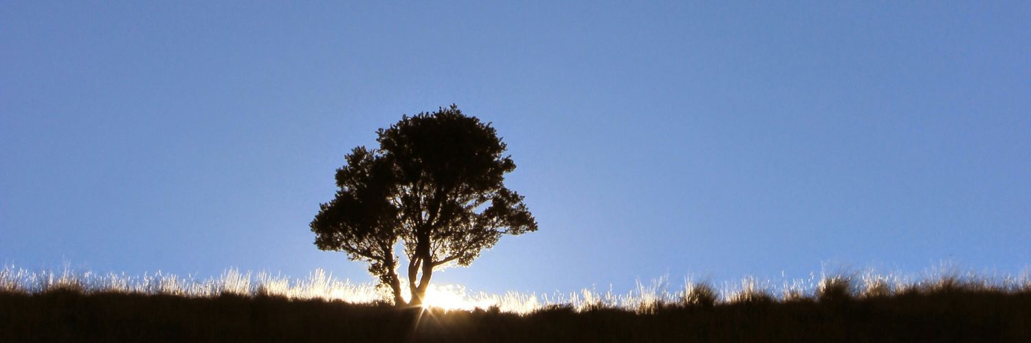 Yanekun's profile banner image