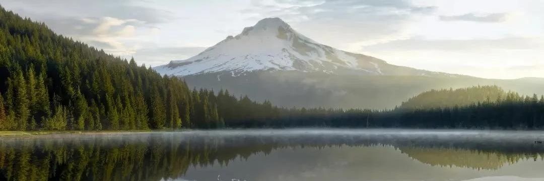 _VirgilioJ's profile banner image