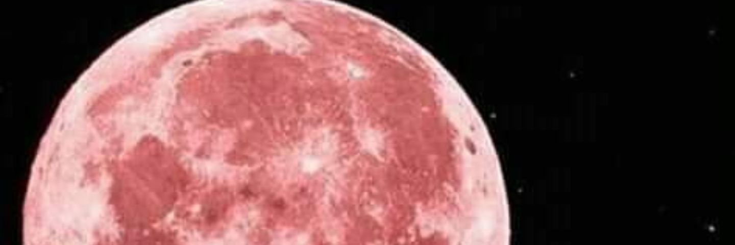 BloFN's profile banner image