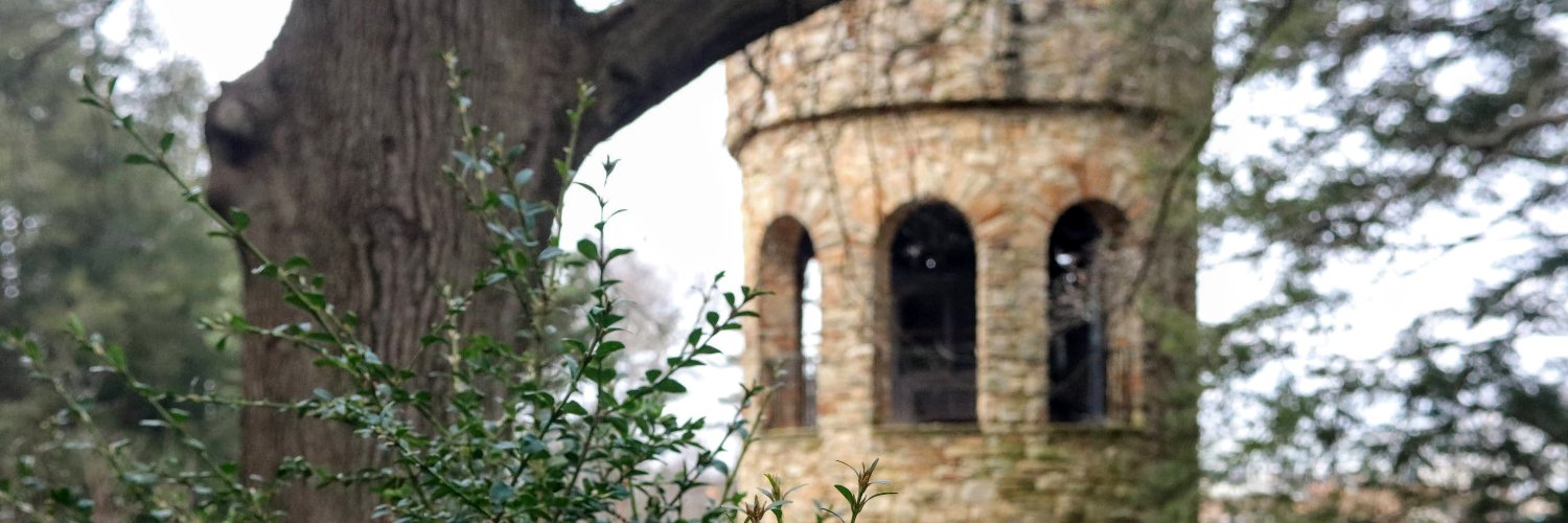 MedievalMouse's profile banner image
