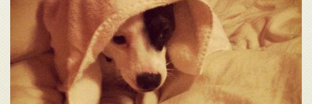 Nicki Marie banner