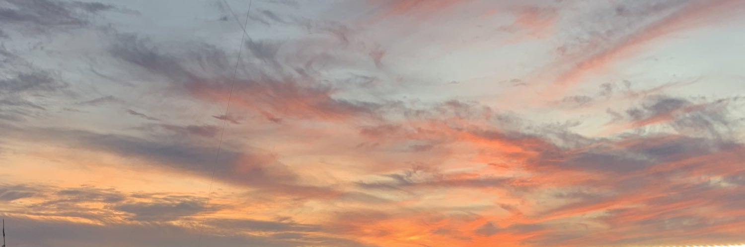 ericalott's profile banner image