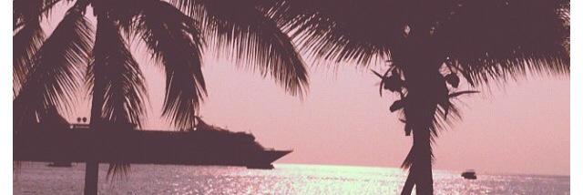 Malulanii's profile banner image