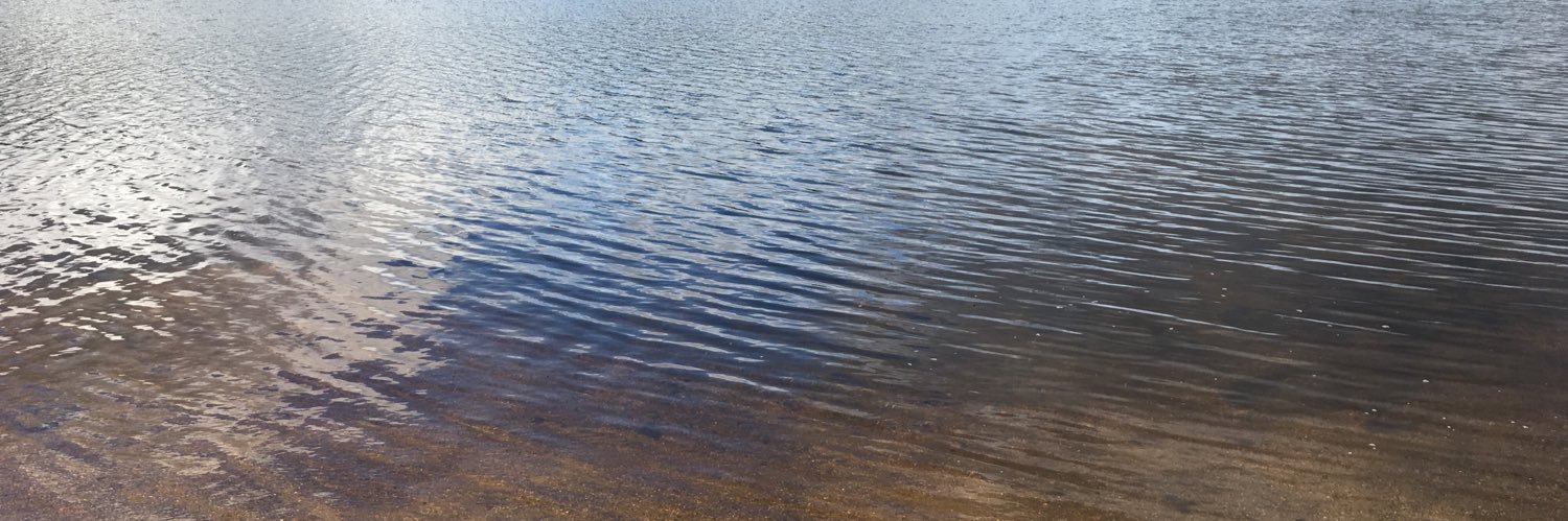 Dr. Abdulrahman El-Hilly banner