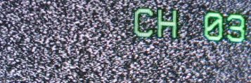 treybolinger's profile banner image
