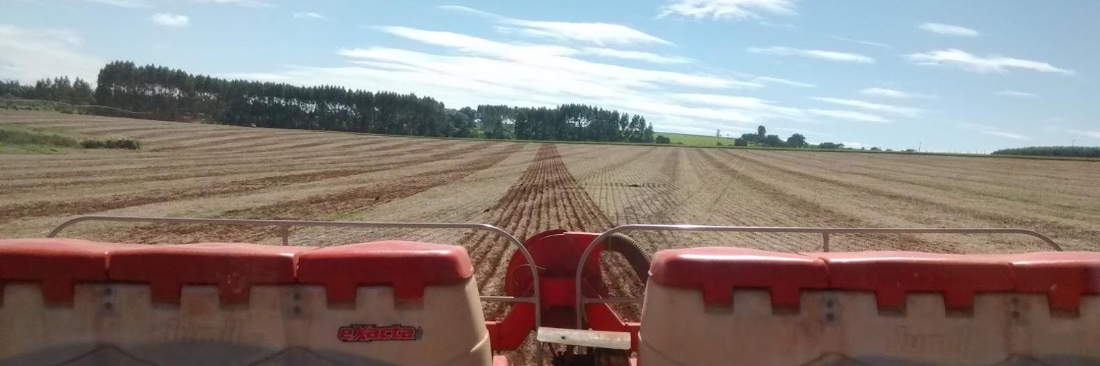 Felipe Faleco banner