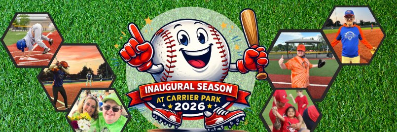 Challenger Baseball banner