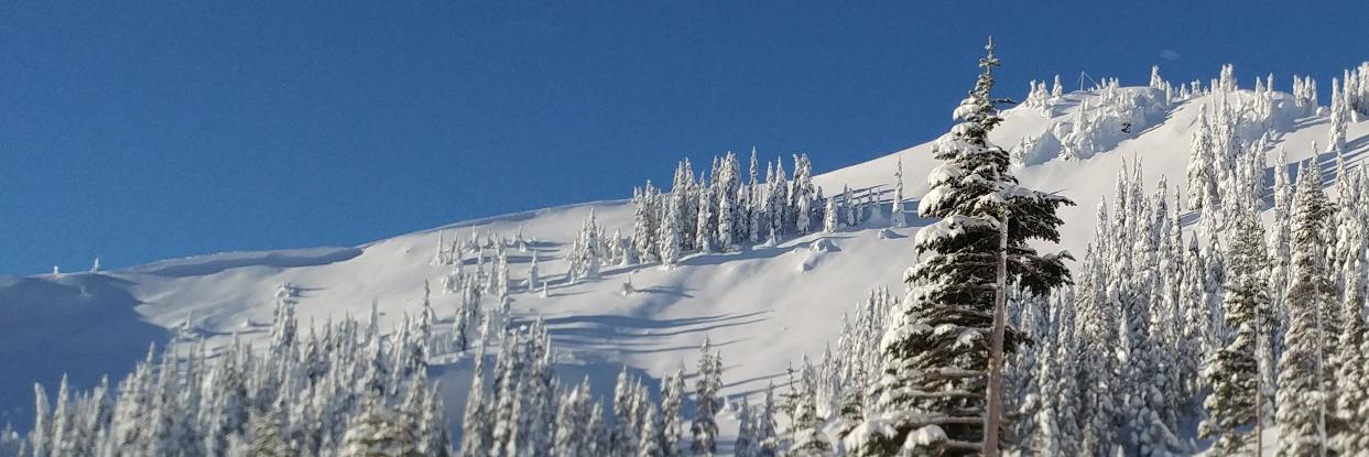 HRWSC's profile banner image