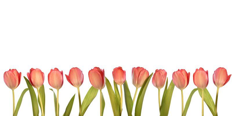 SuzanBeks's profile banner image