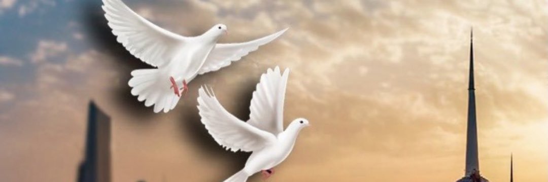 AlSayereid's profile banner image